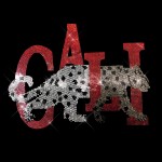 California Panther Rhinestone Iron On Heat Transfer Bling Design